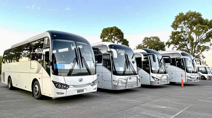 Melbourne Great Ocean Road Benz SmallGroup&LuxCoach BigGroup - Why the reverse route is the smart choice