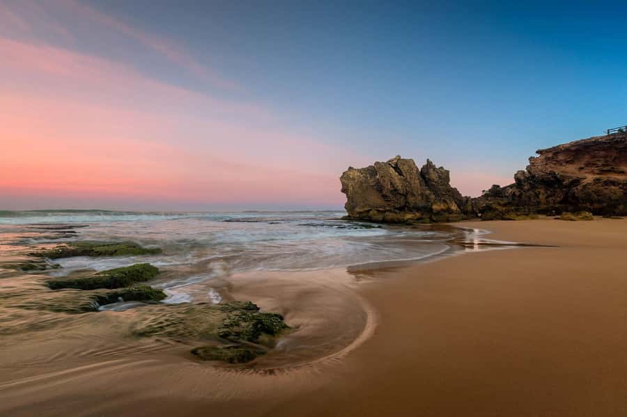 Melbourne: Great Ocean Road Day Tour with kangaroos & koalas - Anglesea and the search for kangaroos