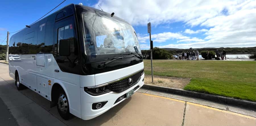 Melbourne: Great Ocean Road Extended–Top Stops&London Bridge - The koala stop is a welcome surprise