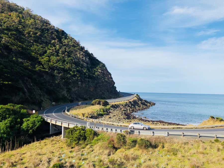 Melbourne: Great Ocean Road Max Highlights & London Bridge - Price, group size, and who gets the best value