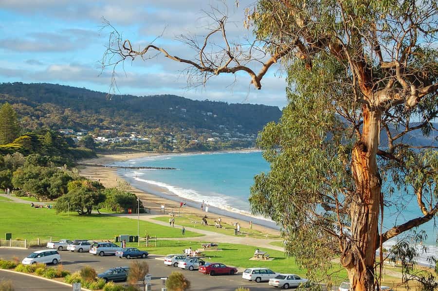 Melbourne: Great Ocean Road to 12 Apostles via the Coastline - Lorne delivers the classic seaside pause