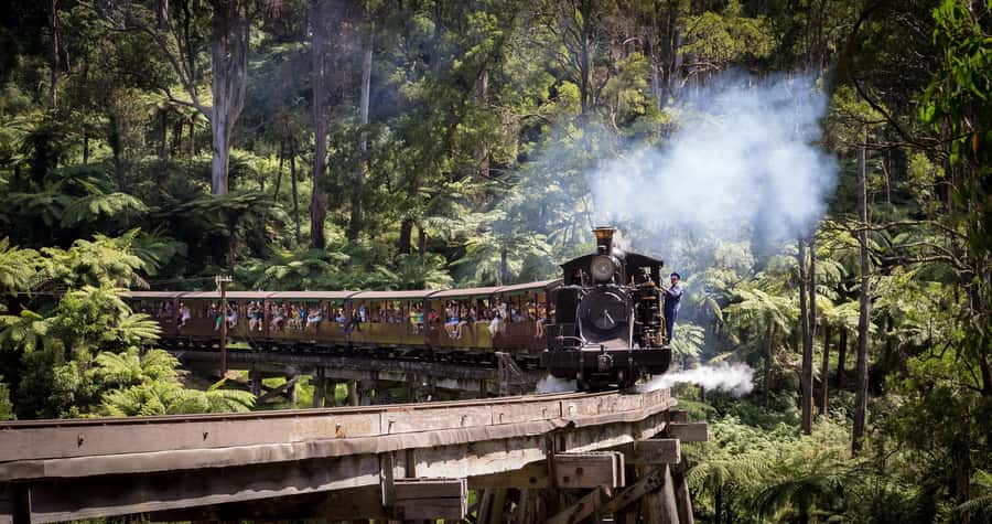 Melbourne: Half-Day Puffing Billy Steam Train Experience - How the guides affect the experience