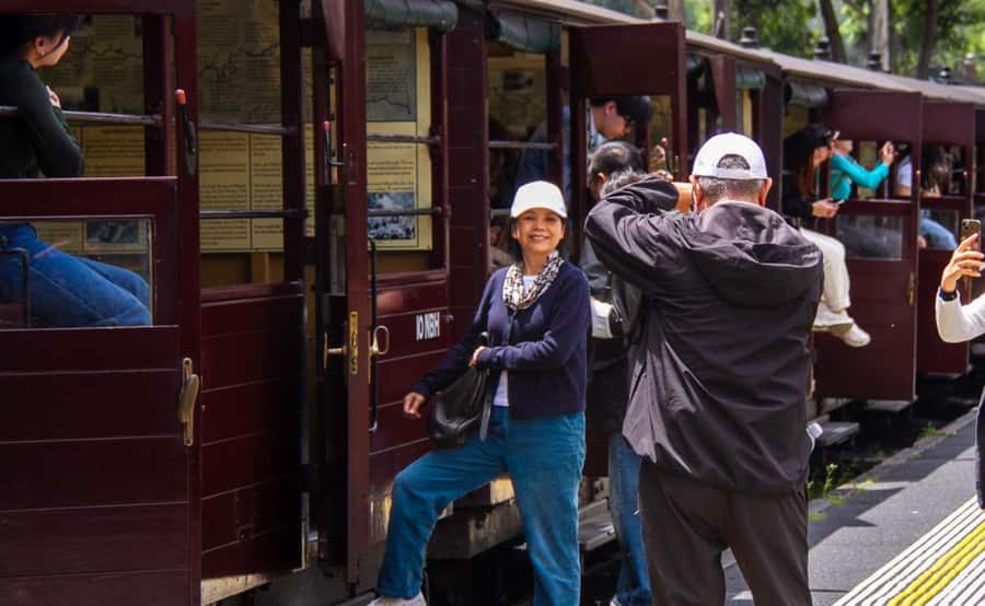 Melbourne: Half-Day Puffing Billy Steam Train Experience - Who should book this half-day tour
