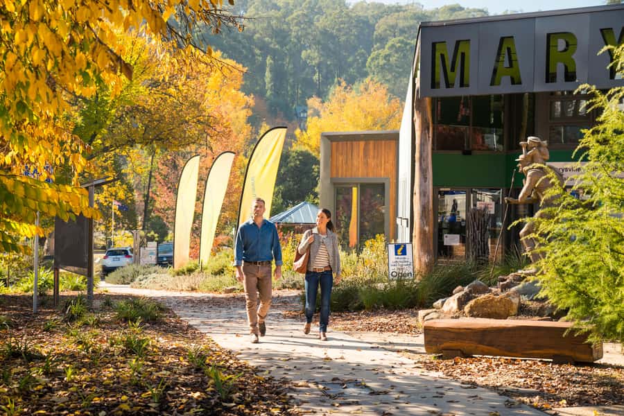 Melbourne: Lake Mountain Snow Day and Waterfalls & Chocolate - Healesville gives you a useful first break
