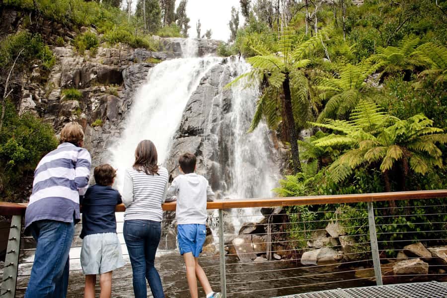 Melbourne: Lake Mountain Snow Day and Waterfalls & Chocolate - What the $127 price really covers