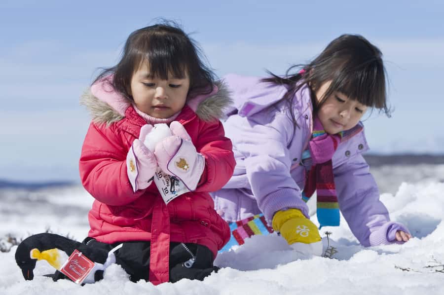 Melbourne: Lake Mountain Snow Guided Tour - Who will enjoy this day most