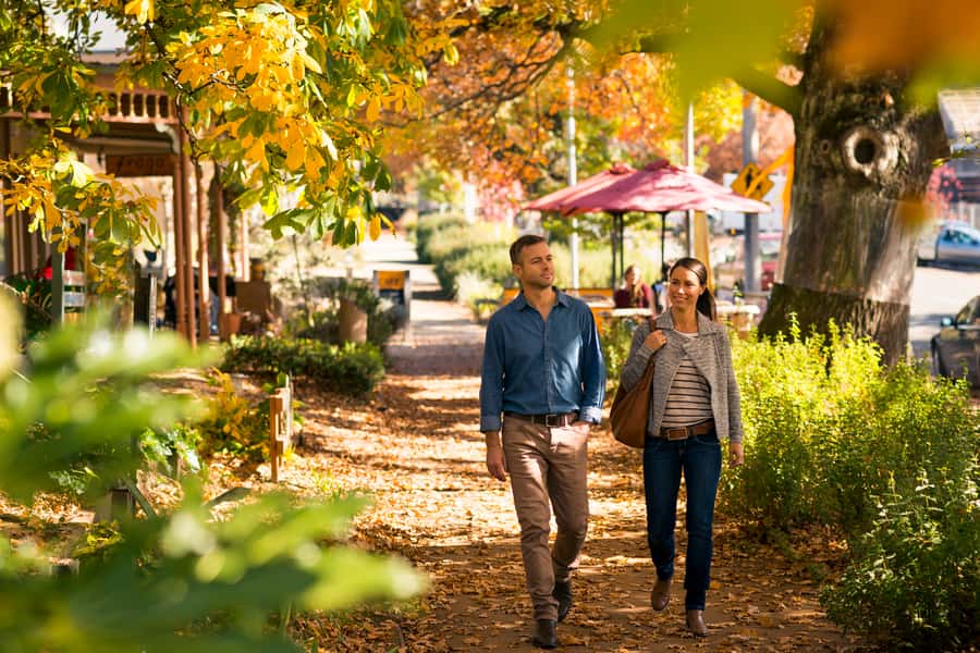 Melbourne: Lake Mountain Snow Guided Tour - Practical advice for a smoother day