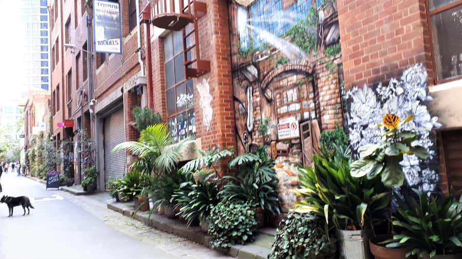 Melbourne Laneways Tour - Should you book the Melbourne Laneways Tour?