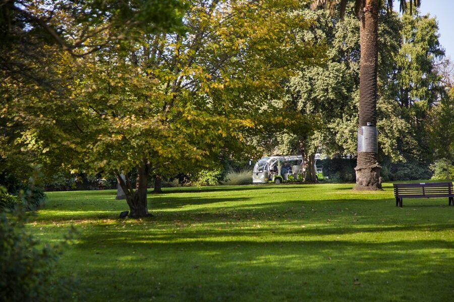 Melbourne: Melbourne Gardens Explorer Minibus Tour - Why this short ride works so well