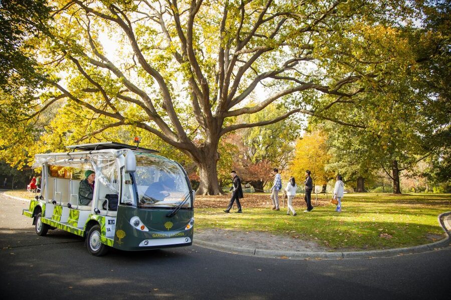 Melbourne: Melbourne Gardens Explorer Minibus Tour - Rolling lawns and global plant collections