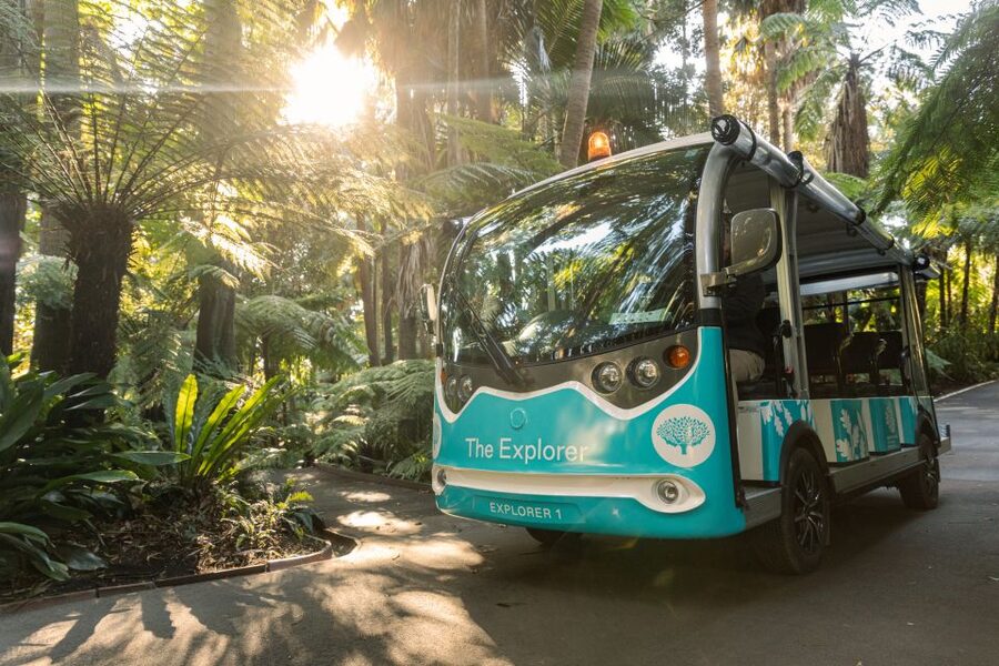 Melbourne: Melbourne Gardens Explorer Minibus Tour - The ornamental lake and garden wildlife