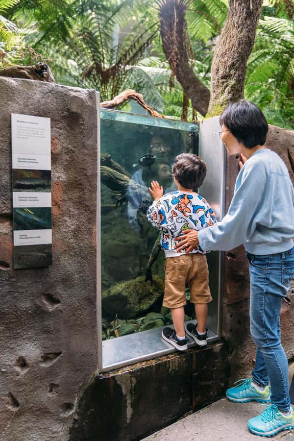 Melbourne: Melbourne Museum Entry Ticket - Making the most of a three-hour visit