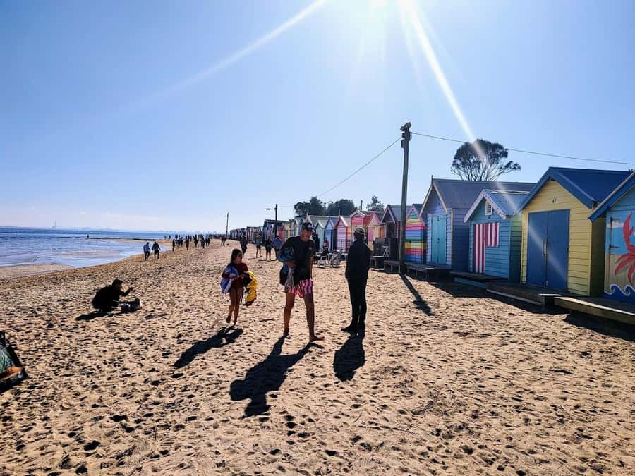 Melbourne: Moonlit Sanctuary and Brighton Beach Boxes Tour - Why this half-day pairing works