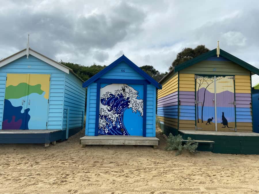 Melbourne: Moonlit Sanctuary and Brighton Beach Boxes Tour - The drive to Moonlit Sanctuary