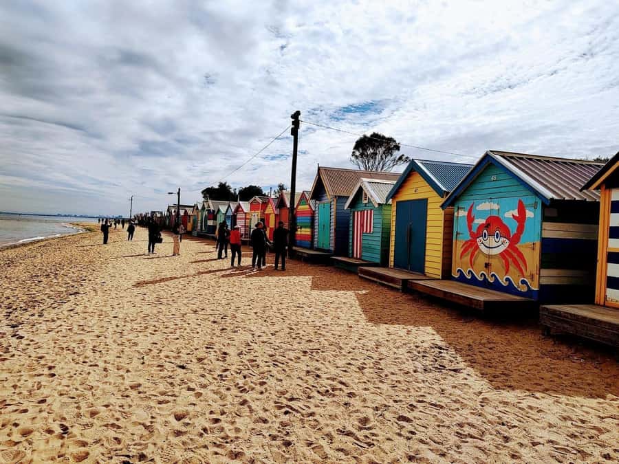 Melbourne: Moonlit Sanctuary and Brighton Beach Boxes Tour - Two hours among Australia’s native animals