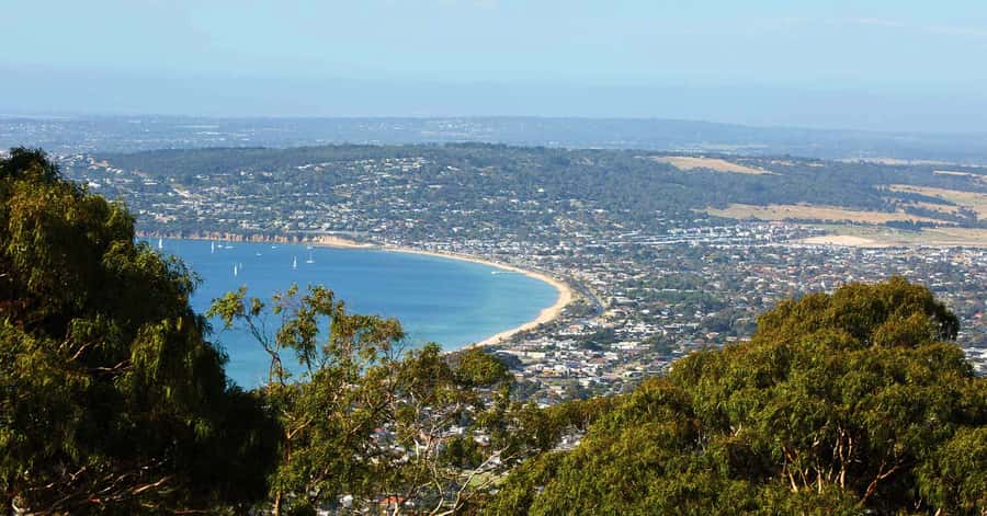 Melbourne/Mornington: Peninsula Hot Springs and Winery Tour - Green Olive Estate, lunch first and wine second