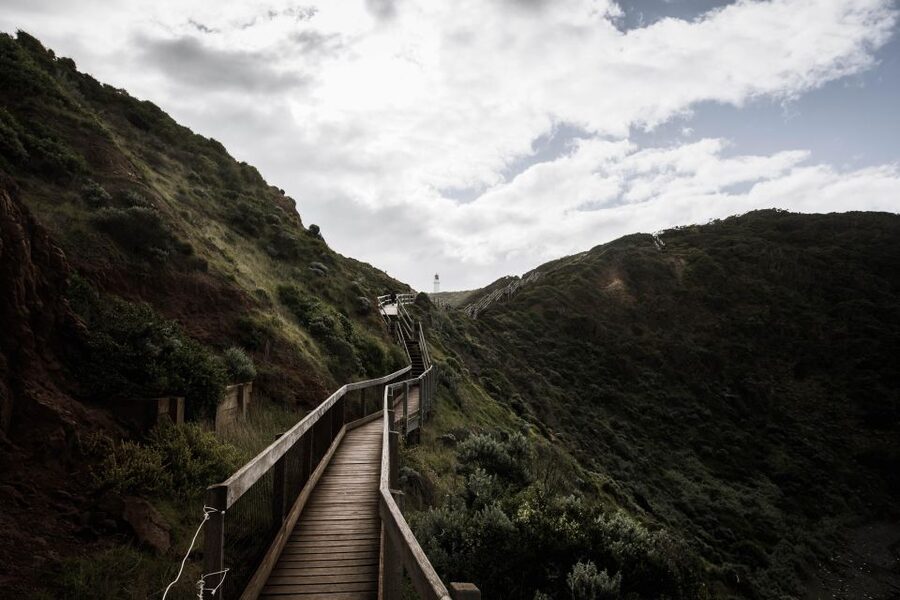 Melbourne: Mornington Peninsula & Hot Springs Tour 8 pax max - Why This Mornington Peninsula Day Works So Well