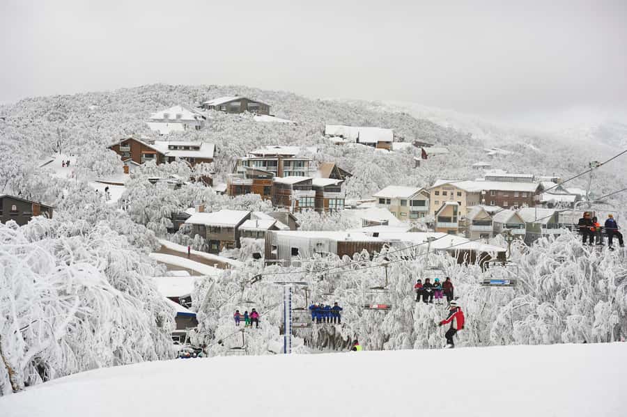 Melbourne: Mt Buller Snow Tour-Save on Hire & True 5 Hrs Fun - Who will enjoy this day trip most