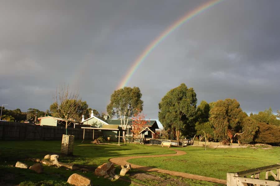 Melbourne: Penguin Parade Tour with Puffing Billy Train Ride - The Nobbies offers the best coastal views