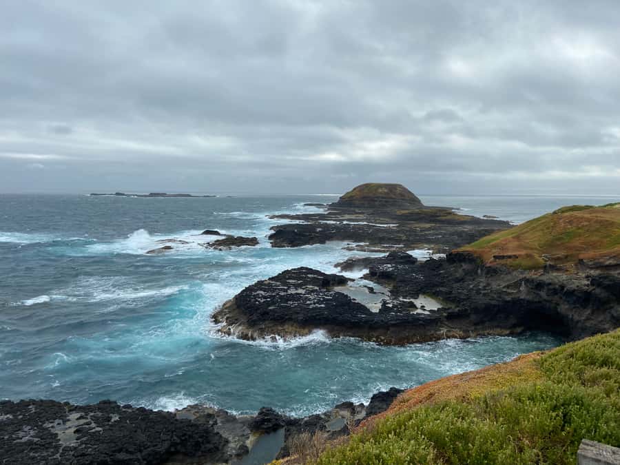 Melbourne: Phillip Island Tour & Penguin Parade - Should you book it?