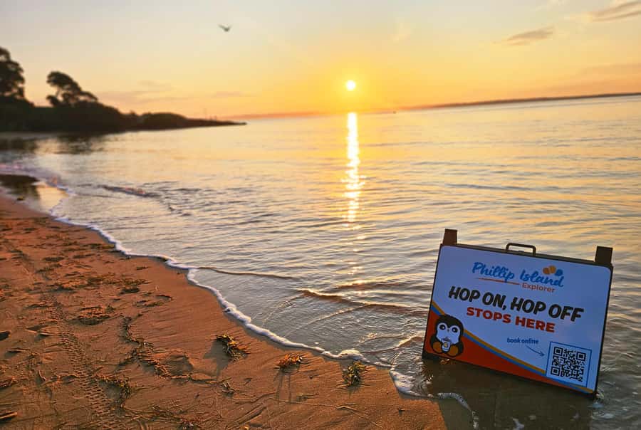 Melbourne: Phillip Island Tour w/ Hop-on Bus or Seal Cruise - The Penguin Parade, with a little patience