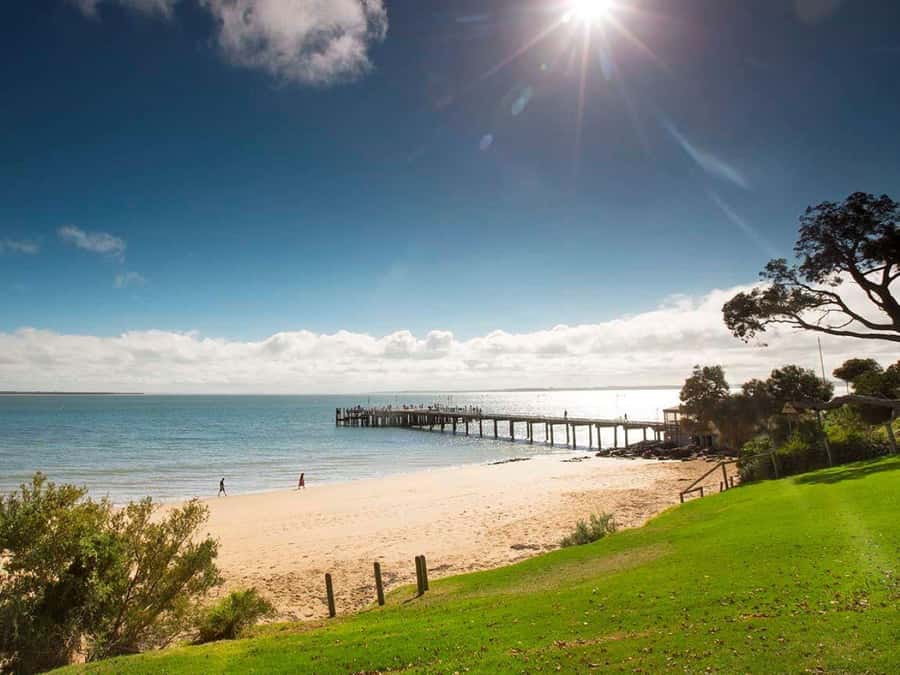 Melbourne: Phillip Island Tour w/ Hop-on Bus or Seal Cruise - The practical feel of a 15-person tour