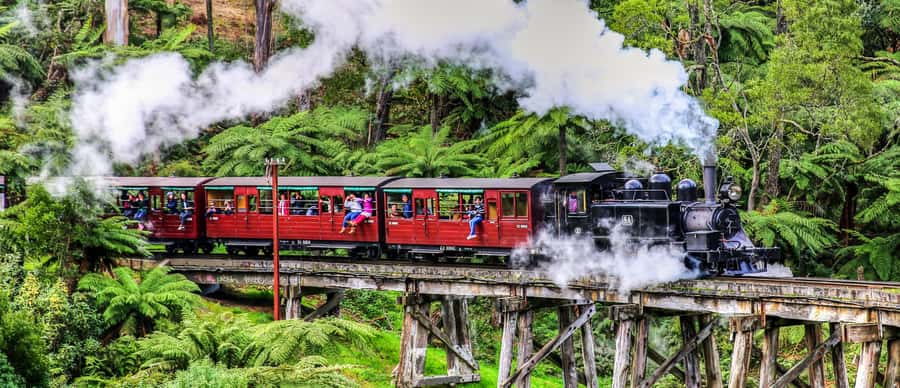 Melbourne: Puffing Billy & Healesville Sanctuary Scenic Tour - Healesville Sanctuary puts Australian wildlife within reach