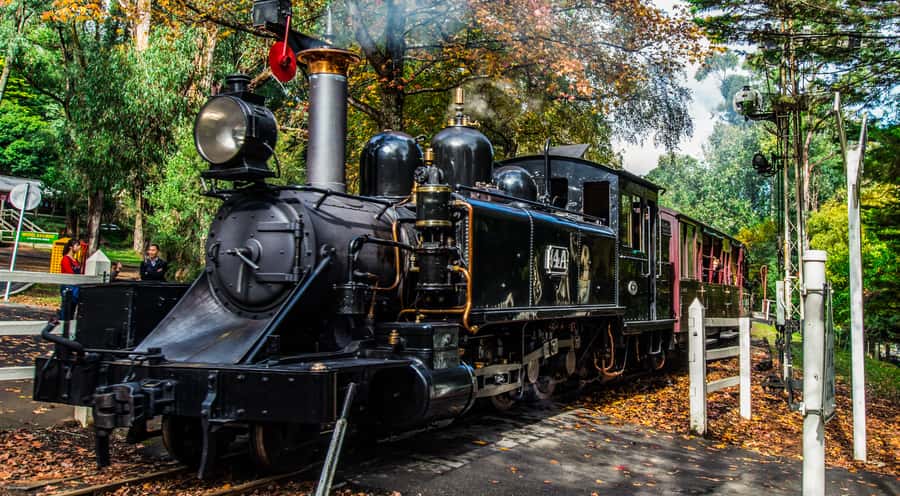 Melbourne: Puffing Billy & Healesville Sanctuary Scenic Tour - The chocolate stop is short, sweet, and optional in spirit