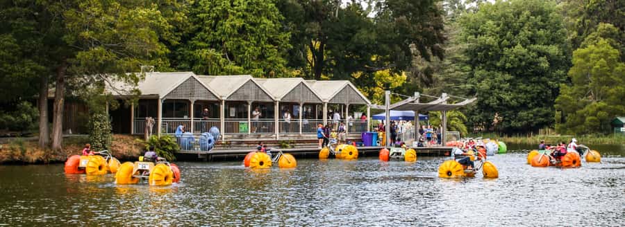 Melbourne: Puffing Billy & Healesville Sanctuary Scenic Tour - Who will enjoy this tour most