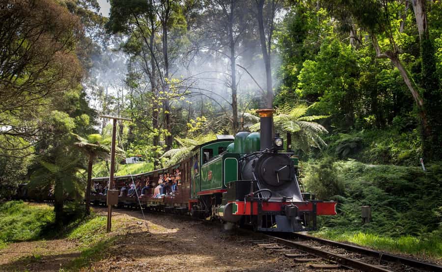 Melbourne: Puffing Billy Railway & Rainforest Tour - What to bring for a better day