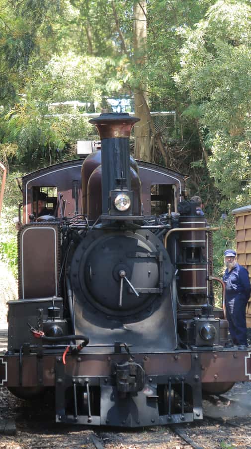 Melbourne: Puffing Billy Train and Penguin Island Day Tour - Why the penguins make the late finish worthwhile