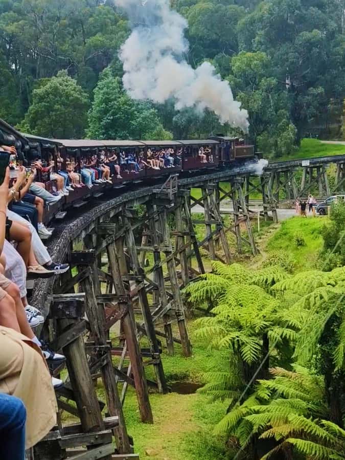 Melbourne: Puffing Billy Train and Penguin Island Day Tour - Puffing Billy through the Dandenong Ranges