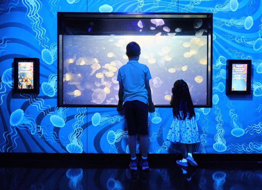Melbourne: SEA LIFE Aquarium Entrance Ticket - The penguins are worth saving for last