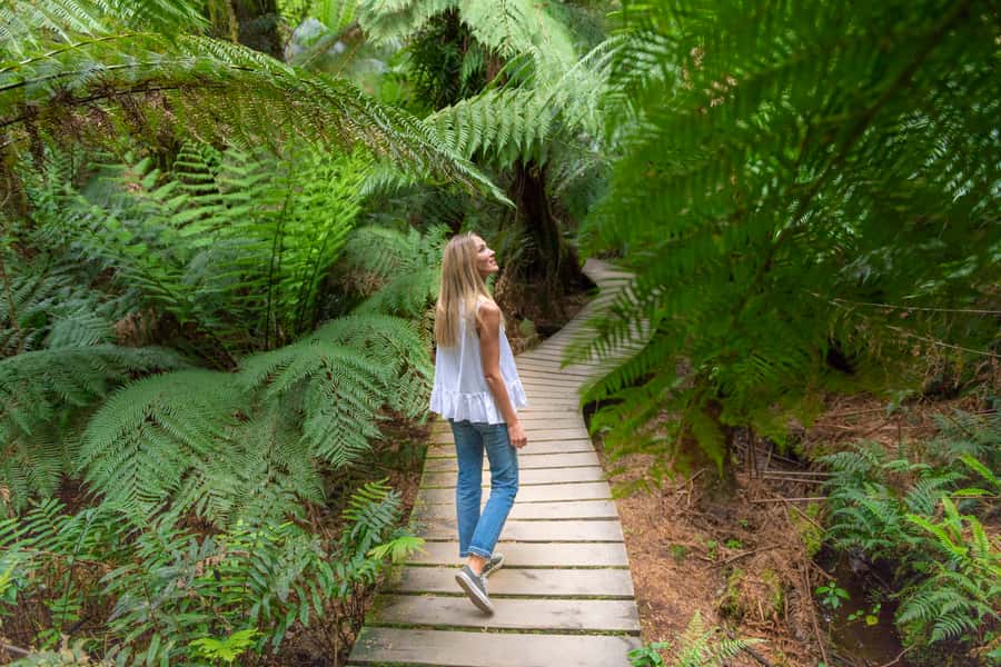 Melbourne to Adelaide: 2-Day Overland Explorer Tour - The Shipwreck Coast delivers the big finish