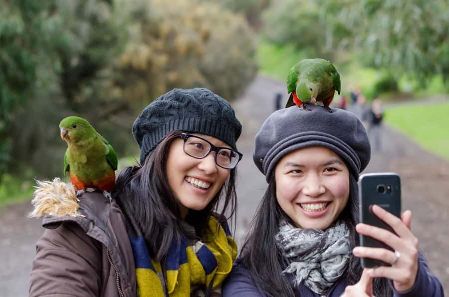 Melbourne to Adelaide: 3-Day Great Ocean Road Grampians Tour - Should you book it?