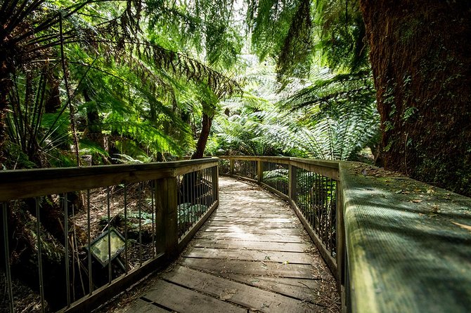 Melbourne to Adelaide: 3-Day Great Ocean Road Grampians Tour - Day one: Great Ocean Road and the Twelve Apostles