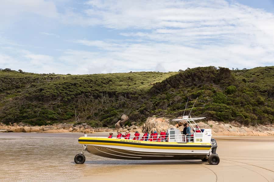 Melbourne: Wilsons Promontory Morning Wilderness Cruise - Key points before you book