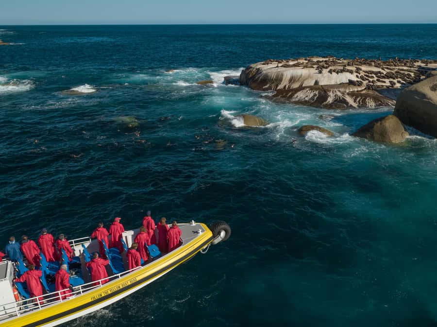 Melbourne: Wilsons Promontory Morning Wilderness Cruise - Why this cruise changes your view of Wilsons Promontory