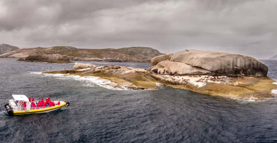 Melbourne: Wilsons Promontory Morning Wilderness Cruise - Guides, safety and the feel of the ride