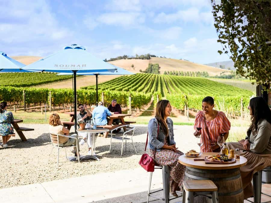 Melbourne: Yarra Valley Half-Day Wine Tour - Helen & Joey Estate: views with polished cool-climate wines