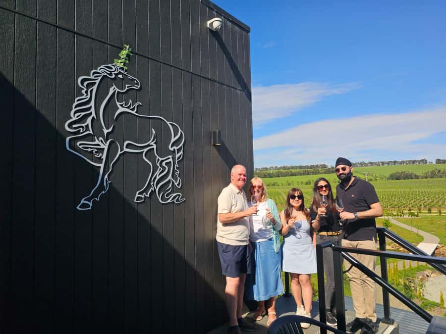Melbourne: Yarra Valley Half-Day Wine Tour - Small group comfort and the social side