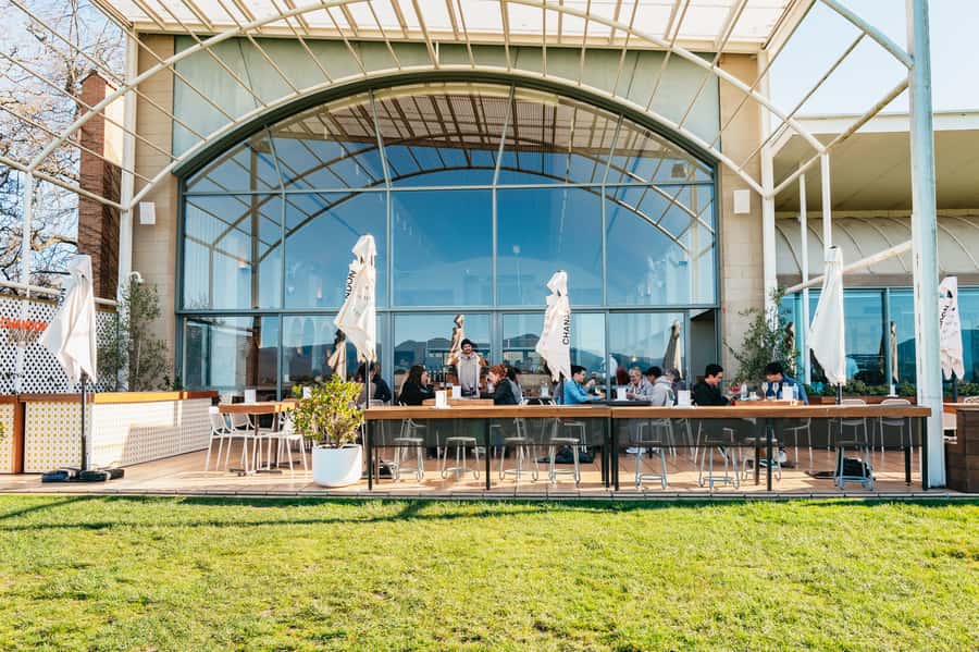 Melbourne: Yarra Valley Wine, Cider, Gin, Beer, & Choc Tour - The people who will enjoy it most