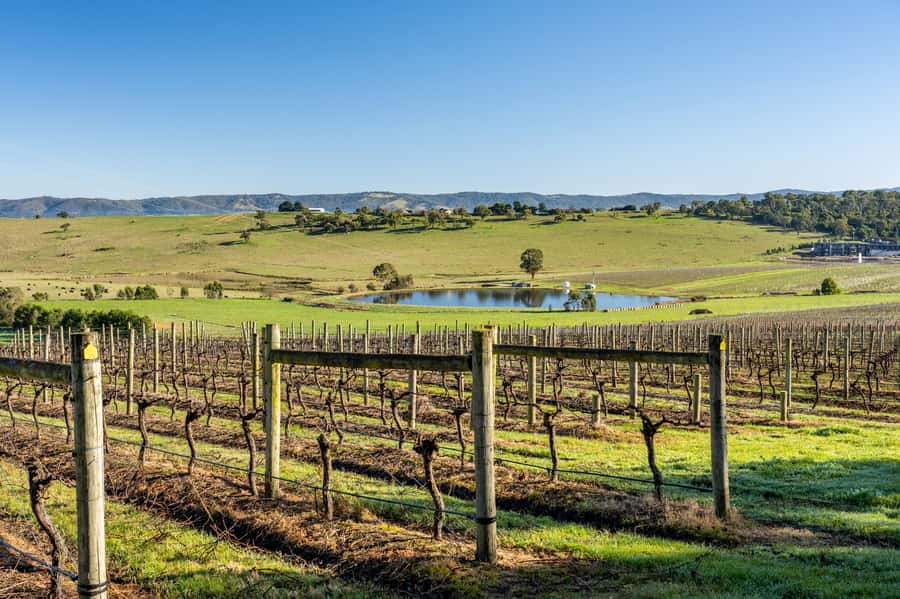 Melbourne: Yarra Valley Wine, Cider, Gin, Beer, & Choc Tour - Meeting in East Melbourne at 8:45am