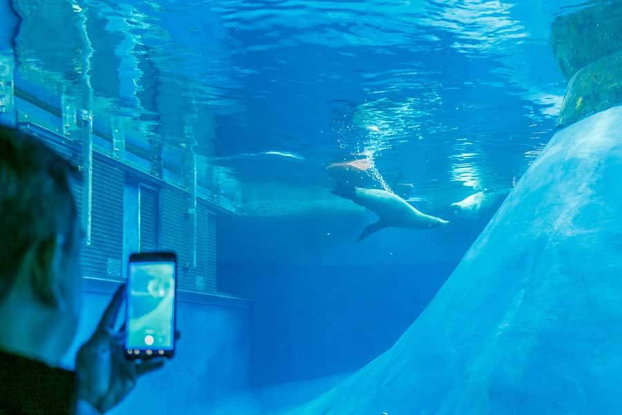 Melbourne Zoo: 1-Day Entry Ticket - Keeper presentations add value to general admission