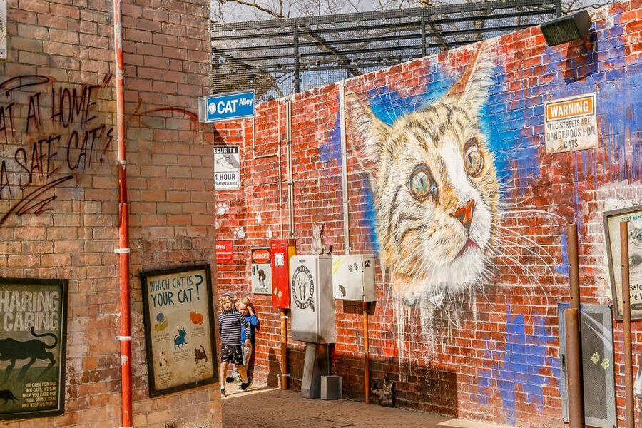 Melbourne Zoo: 1-Day Entry Ticket - Is the $37 ticket good value?