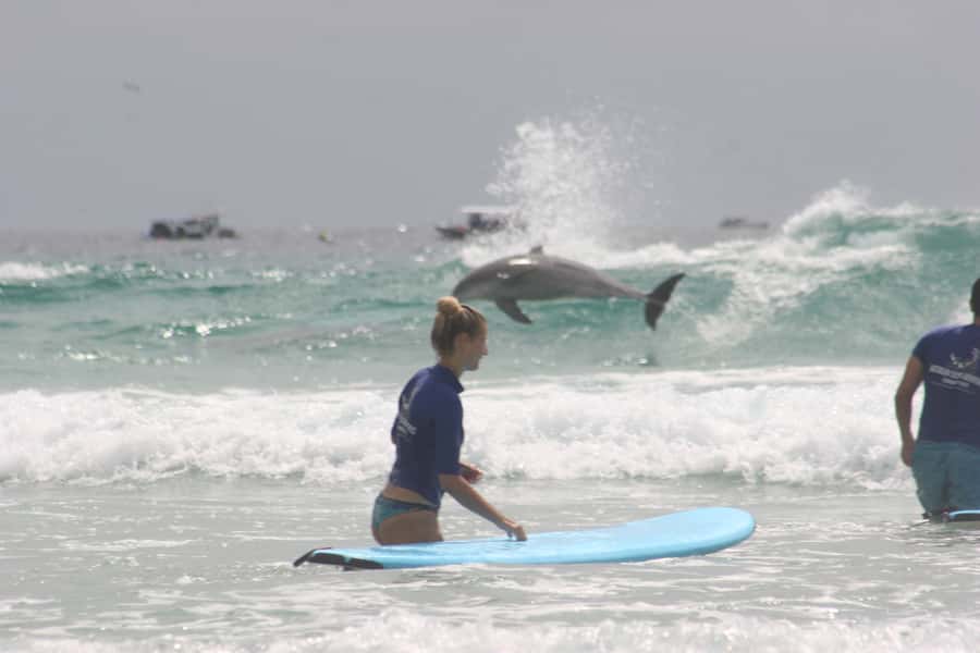 Miami: Group Surf Lesson - Your first look at the Gold Coast surf