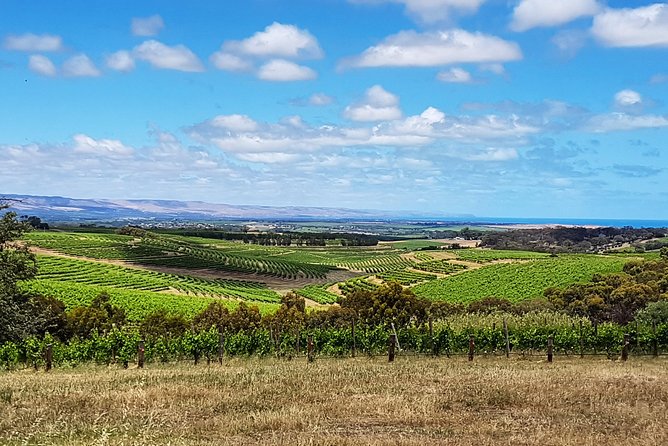 Micro-Group McLaren Vale Wine Tour from Adelaide - Samuel’s Gorge and the Final Tasting