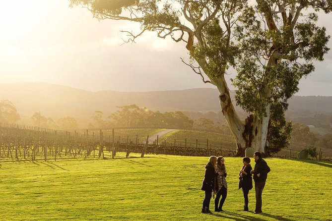 Micro-Group McLaren Vale Wine Tour from Adelaide - Who Will Enjoy This Day Most
