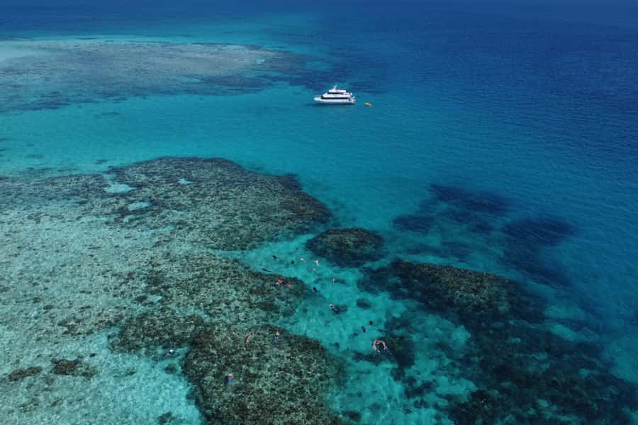 Mission Beach: Outer Great Barrier Reef & Dunk Island Tour - Quick facts worth knowing