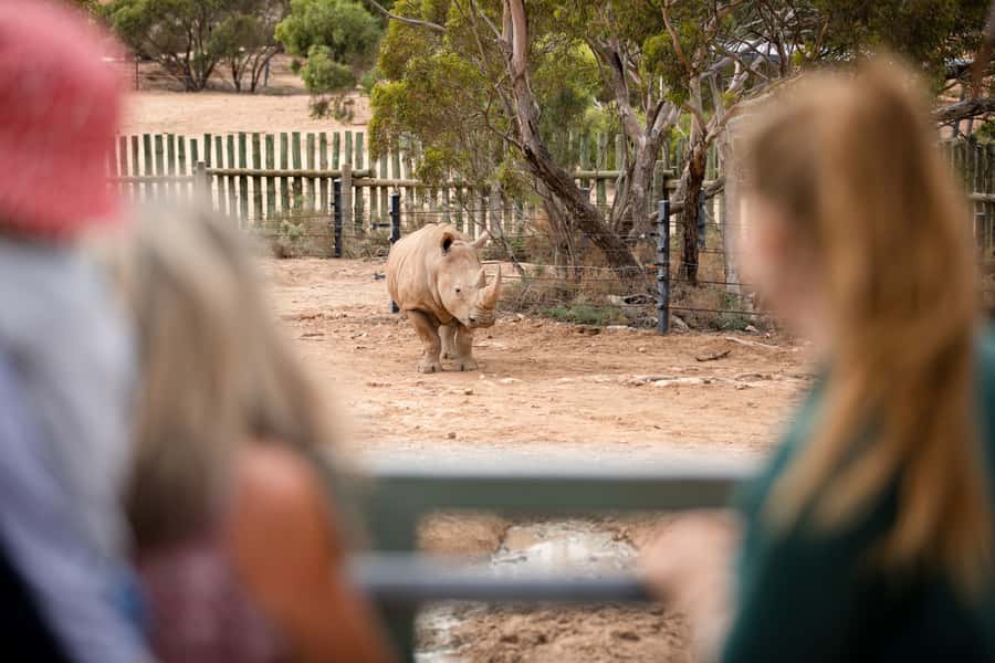 Monarto Safari Park: General Admission Tickets - What to expect at the animal areas